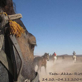 Tata-Akka - Fotobuch über einen 14-Tage-Trailritt in Marokko